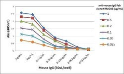 IgG F(ab) Antibody (RMG05), Biotin, Novus Biologicals 50 &mu;g | Buy Online | Novus Biologicals | Fisher Scientific